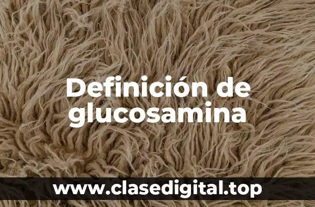 Definición técnica de glucosamina