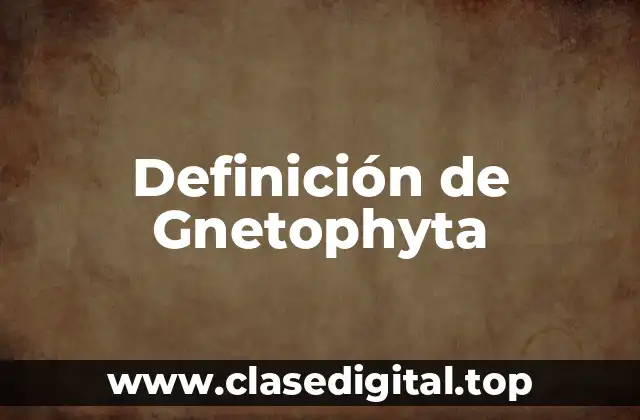 Definición de Gnetophyta