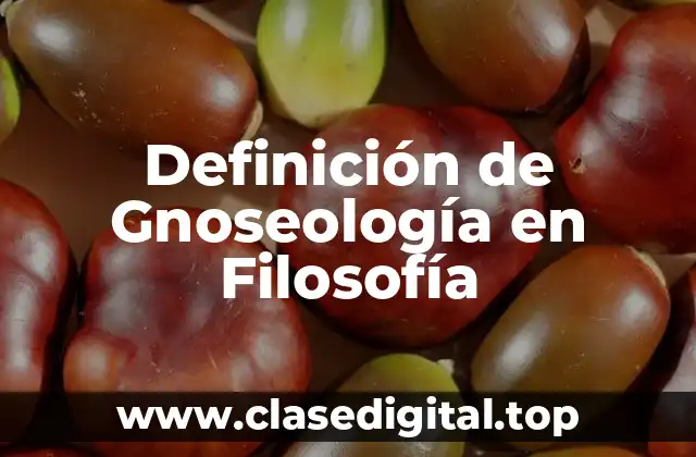 Definición de Gnoseología en Filosofía