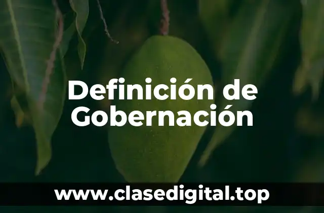Definición de Gobernación