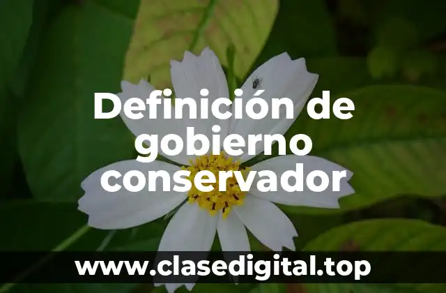 Definición de gobierno conservador