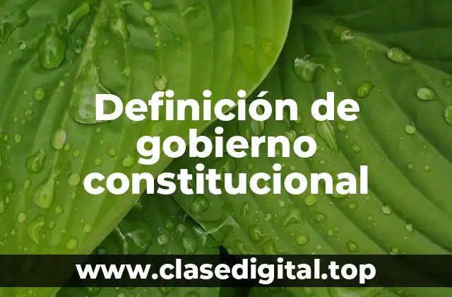 Definición de gobierno constitucional