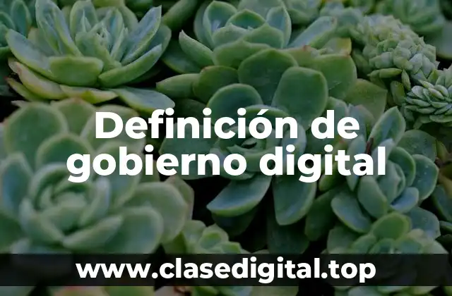 Definición de gobierno digital