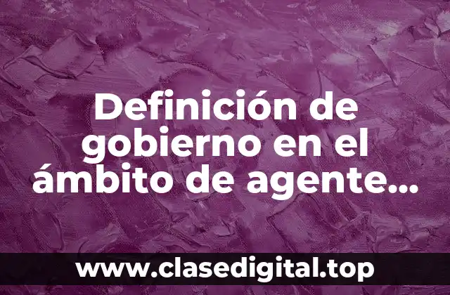 Definición de gobierno en el ámbito de agente económico