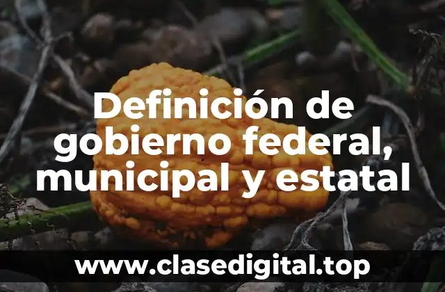 Definición de gobierno federal, municipal y estatal