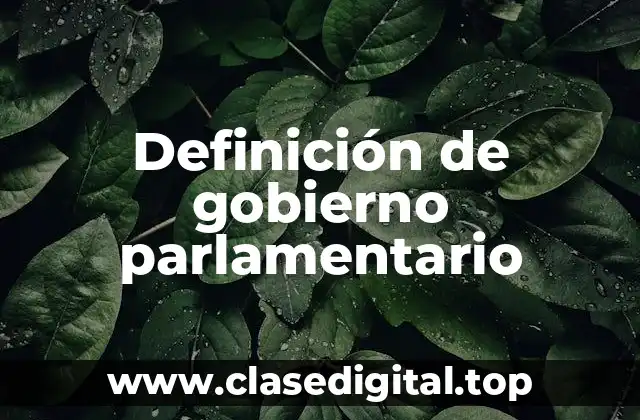Definición de gobierno parlamentario