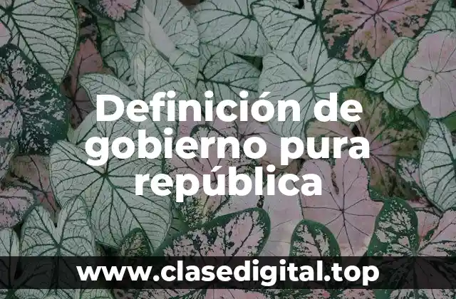 Definición técnica de gobierno pura república