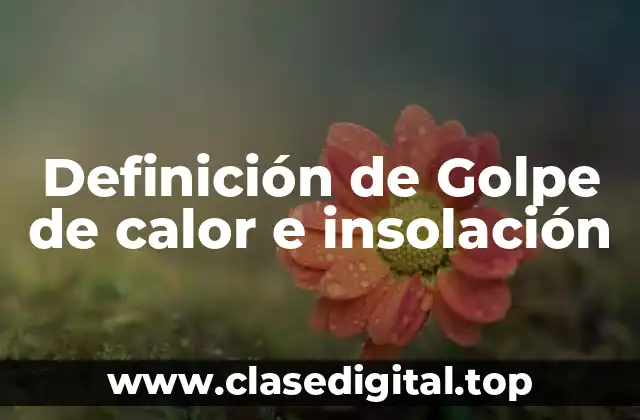 Definición de Golpe de calor e insolación