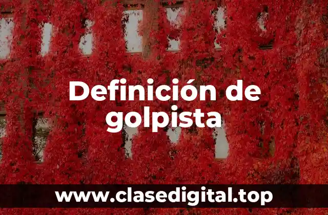 Definición de golpista