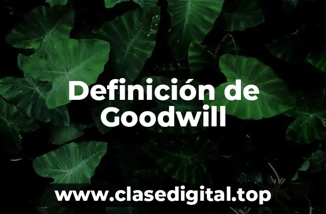 Definición técnica de Goodwill