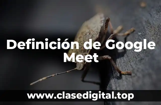 Definición de Google Meet