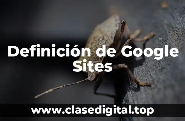 Definición de Google Sites