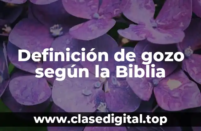 Definición de gozo según la Biblia