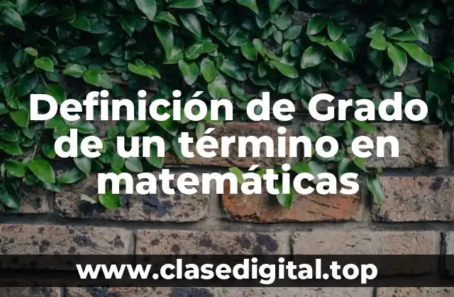 Definición de Grado de un término en matemáticas