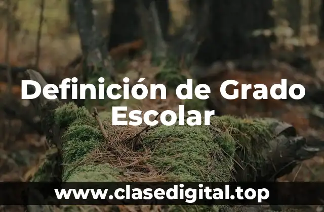 Definición de Grado Escolar