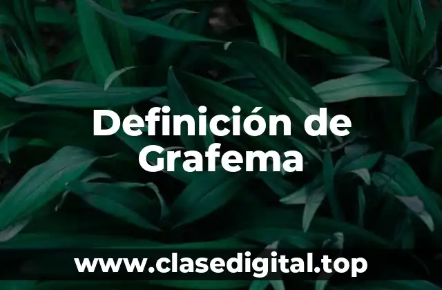 Definición de Grafema