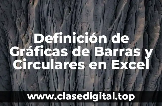Definición de Gráficas de Barras y Circulares en Excel