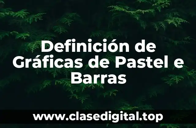 Definición de Gráficas de Pastel e Barras