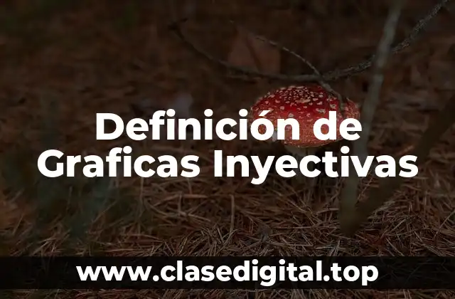 Definición de Graficas Inyectivas