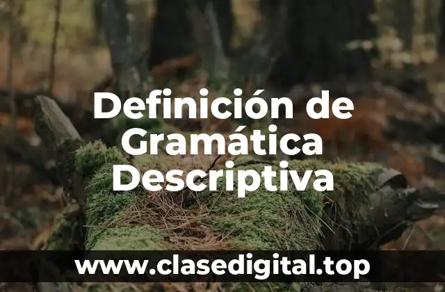 Definición de Gramática Descriptiva