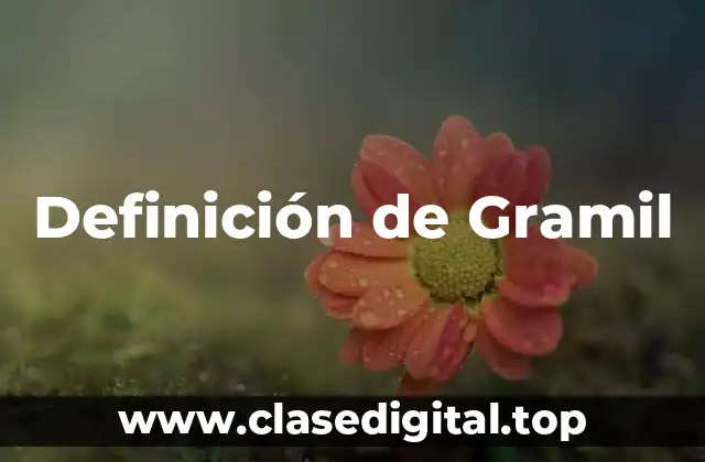 Definición de Gramil