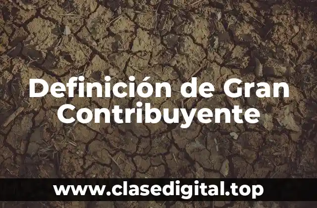 Definición de Gran Contribuyente