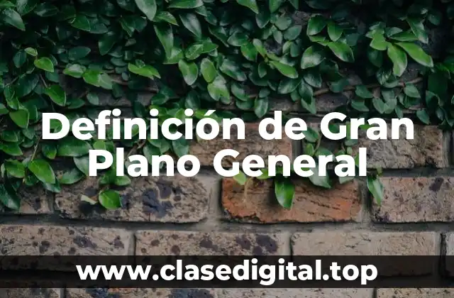 Definición de Gran Plano General