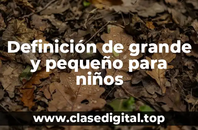 Definición de grande y pequeño para niños