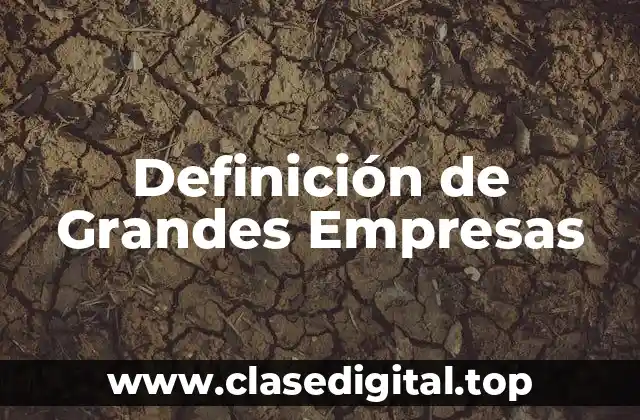 Definición de Grandes Empresas