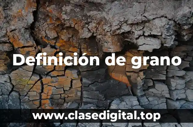 Definición de grano