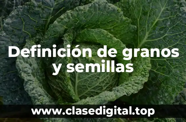 Definición de granos y semillas