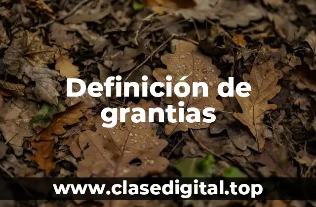 Definición de grantias