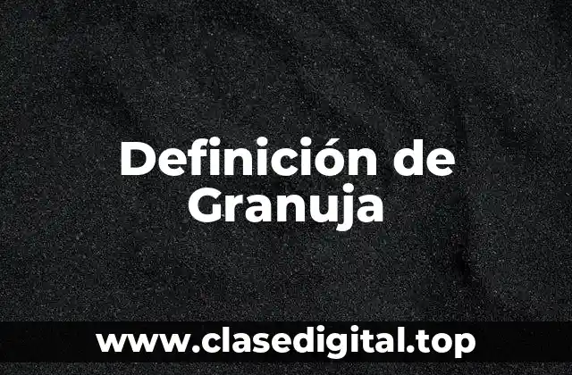 Definición de Granuja