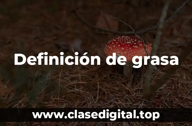 Definición de grasa