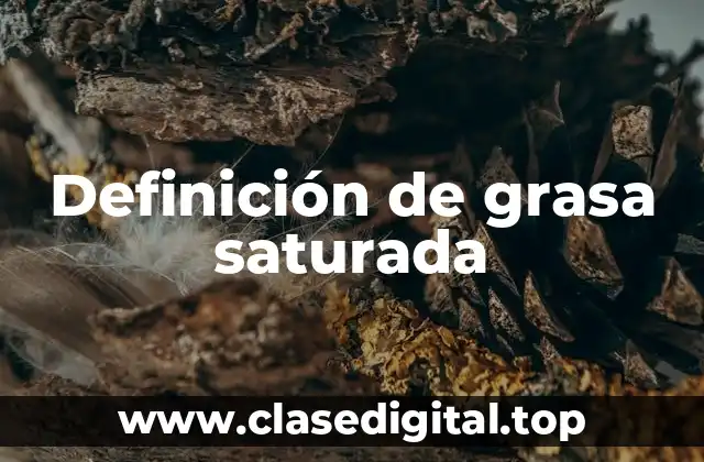 Definición de grasa saturada