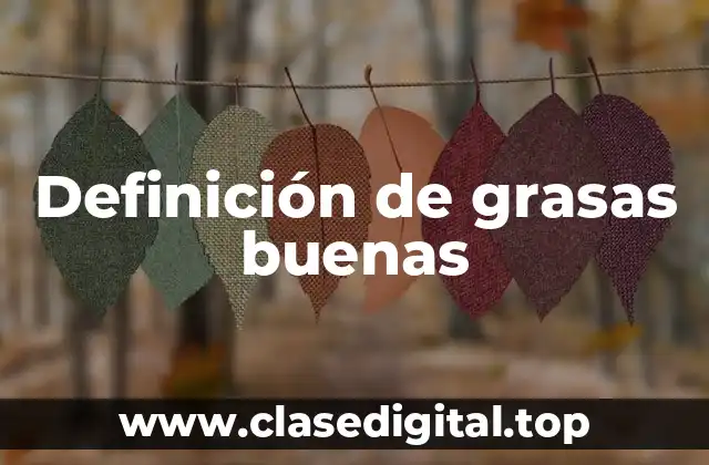 Definición de grasas buenas