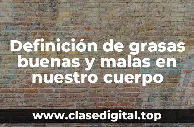 Definición de grasas buenas y malas en nuestro cuerpo