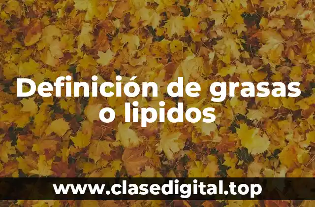Definición de grasas o lipidos