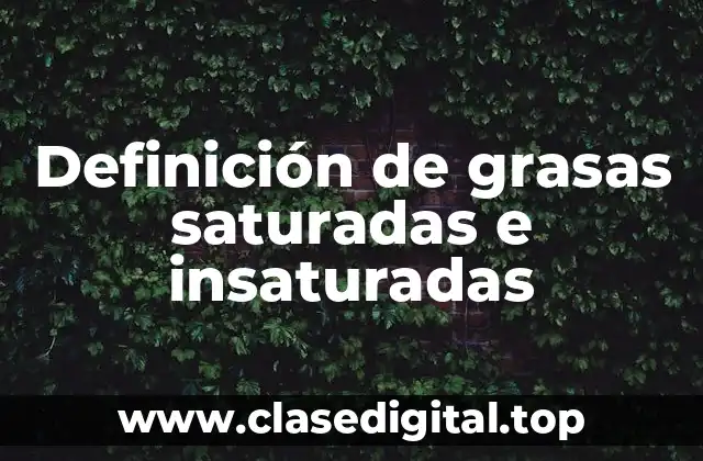 Definición de grasas saturadas e insaturadas