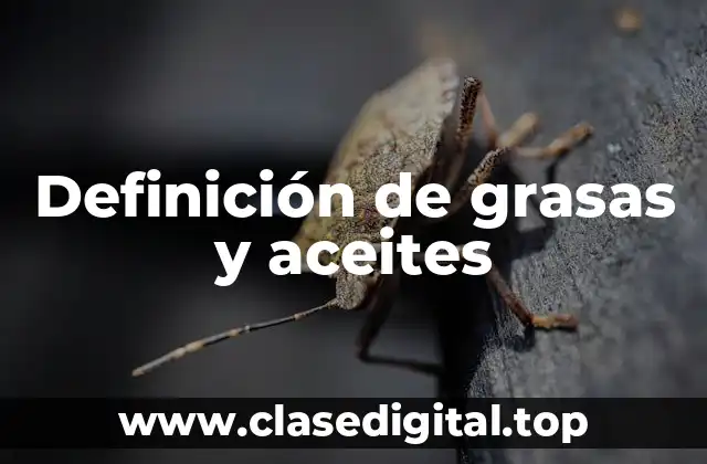Definición de grasas y aceites