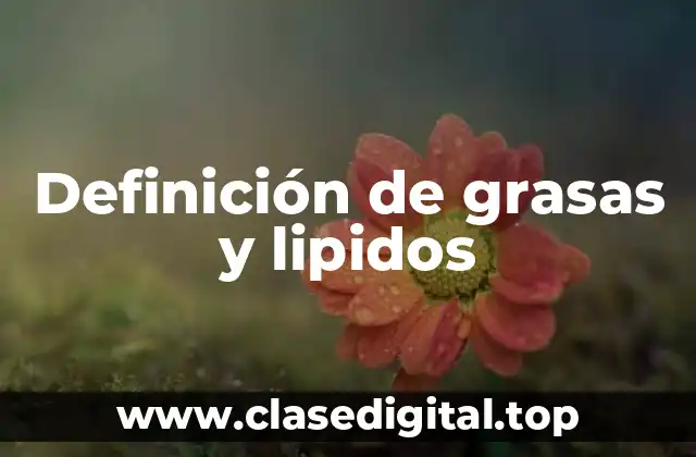 Definición de grasas y lipidos