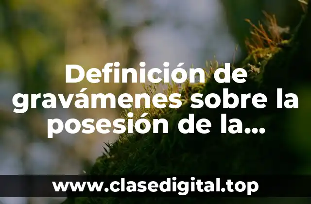 Definición de gravámenes sobre la posesión de la riqueza