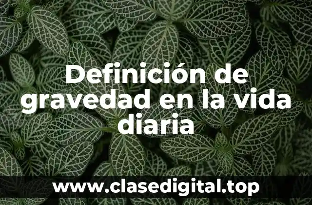 Definición de gravedad en la vida diaria
