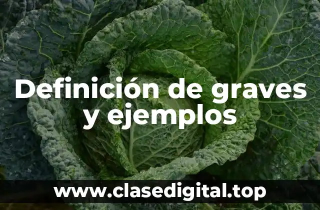 Definición técnica de graves y ejemplos
