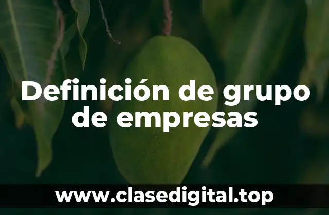 Definición de grupo de empresas