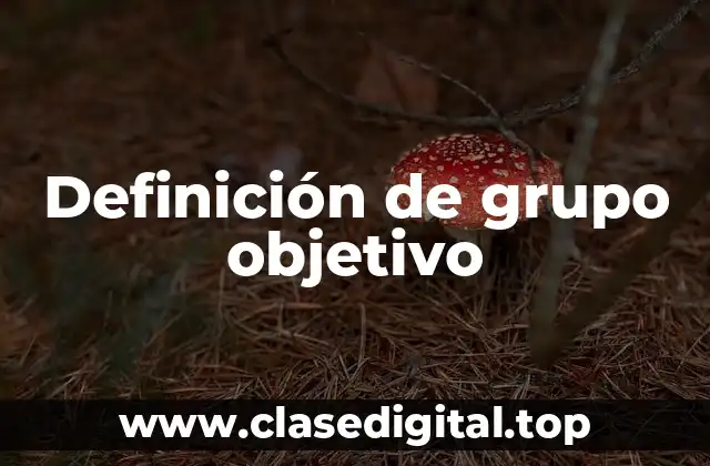 Definición de grupo objetivo
