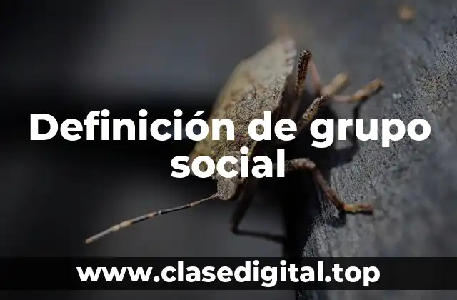 Definición técnica de grupo social