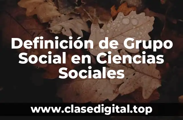 Definición de Grupo Social en Ciencias Sociales
