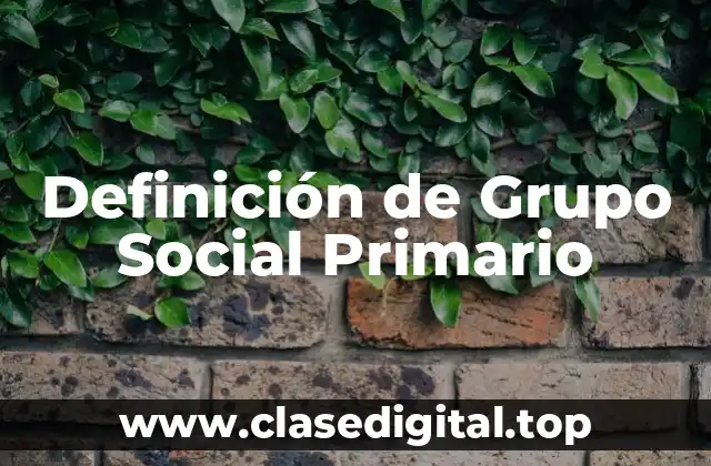 Definición de Grupo Social Primario