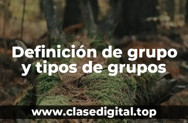 Definición técnica de Grupo